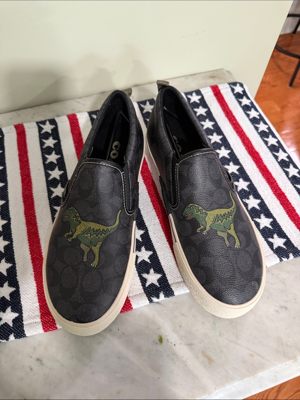 Coach Rare NWOT Coach Men’s Signature Rexy Slip On Skate Sneakers. Sz.9